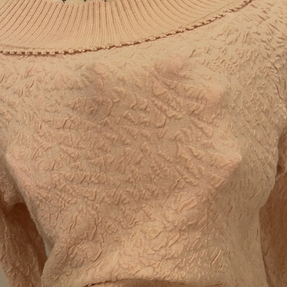 SOLD Free People !! Light Pink textured light-weight sweatshirt Top - Picture 6 of 7